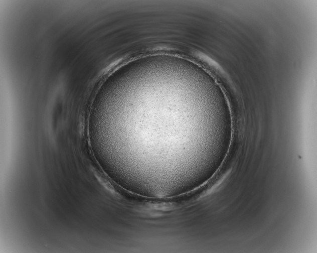 X0000086230833200704121913