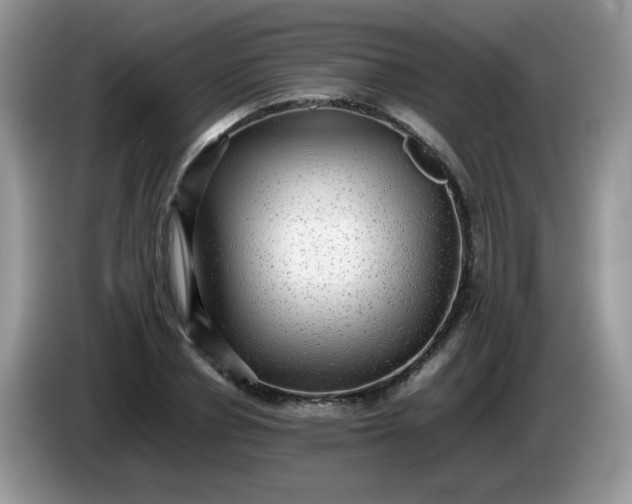 X0000086230834200704121913