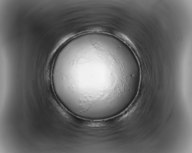 X0000086230835200704121913