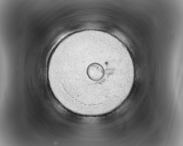 X0000086230836200704121913