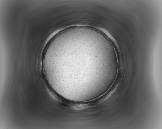 X0000086230837200704121913