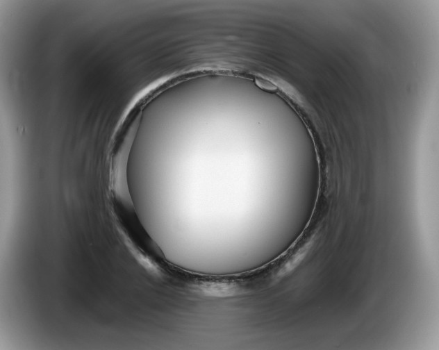 X0000086230838200704121913