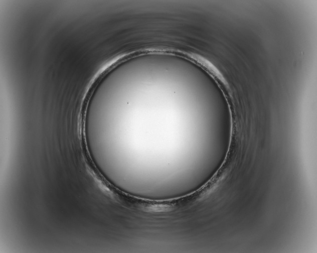 X0000086230839200704121913