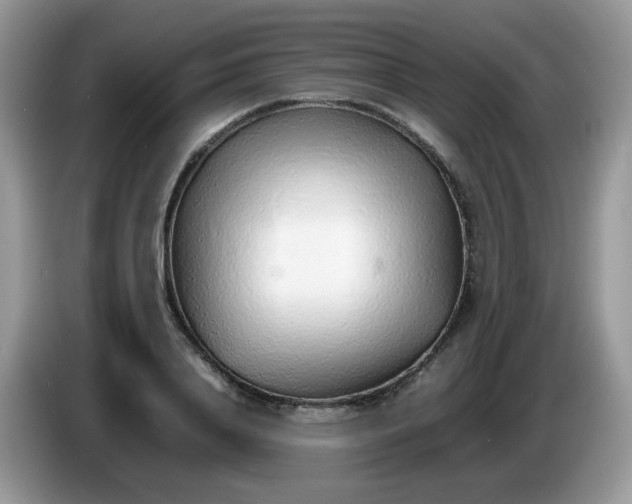 X0000086230840200704121913