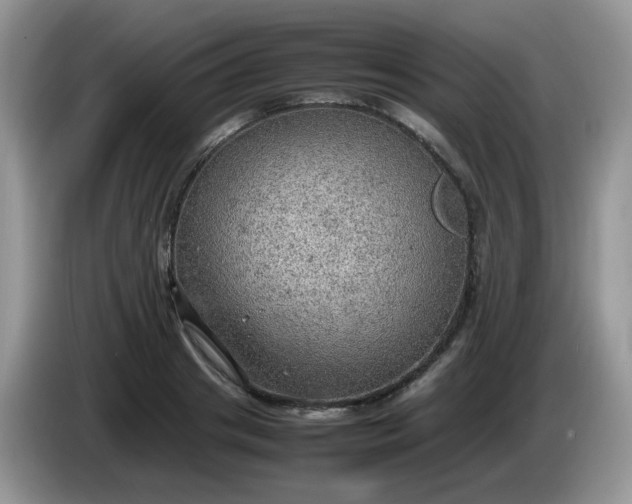 X0000086230841200704121913