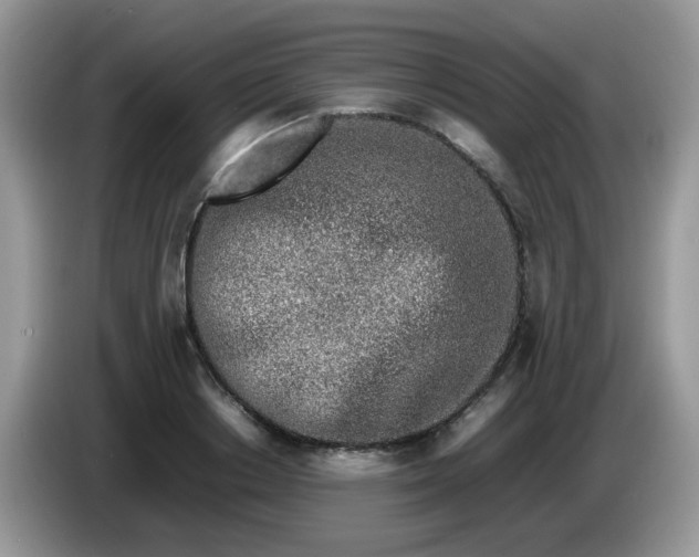 X0000086230842200704121913