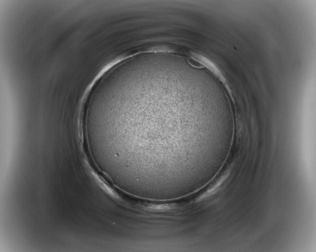 X0000086230843200704121913