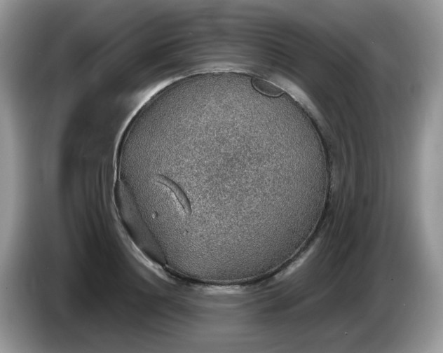 X0000086230844200704121914