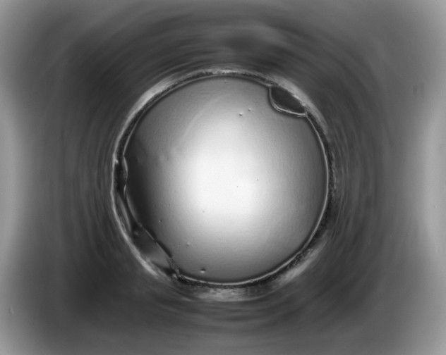 X0000086230845200704121914