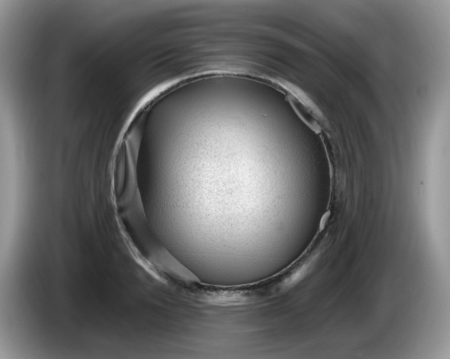 X0000086230846200704121914