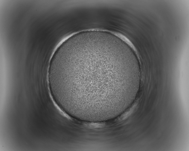 X0000086230847200704121914