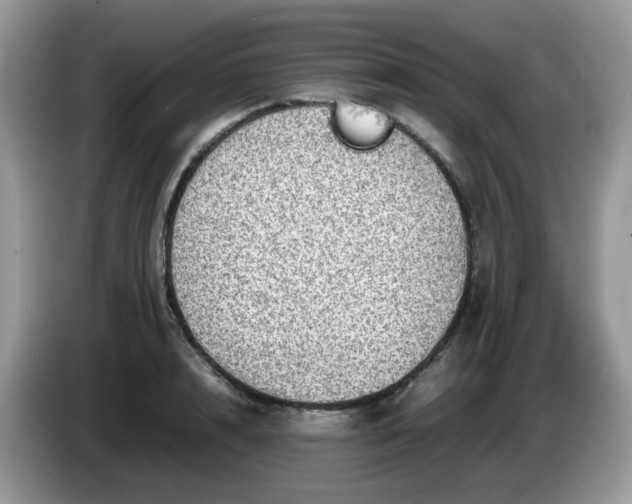 X0000086230848200704121914