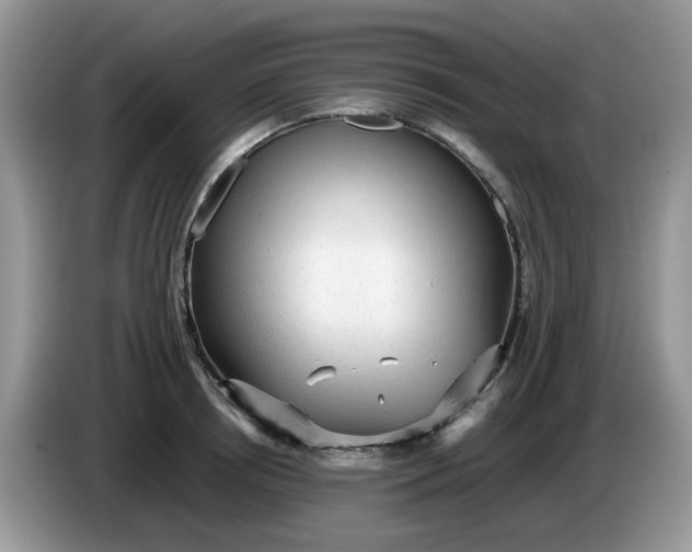 X0000086230850200704121914