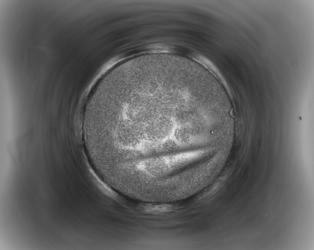 X0000086230851200704121914