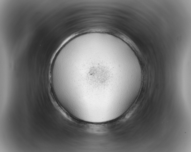 X0000086230852200704121914