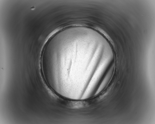 X0000086230853200704121914