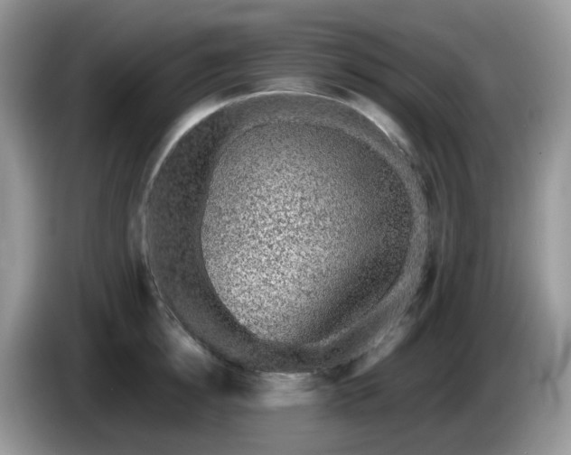 X0000086230854200704121914