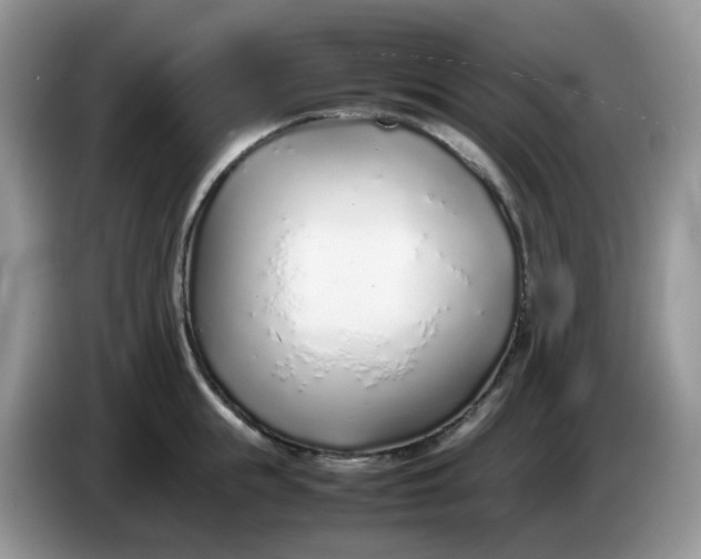 X0000086230855200704121914