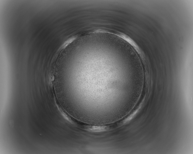 X0000086230857200704121914