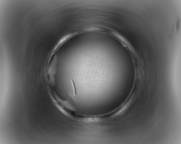 X0000086230858200704121914