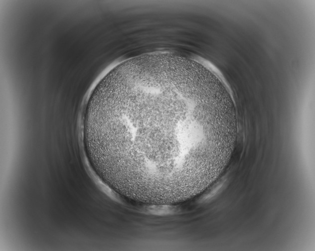 X0000086230859200704121914