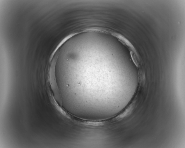 X0000086230860200704121914