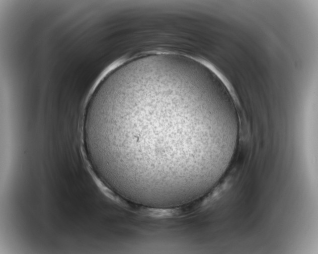 X0000086230861200704121914