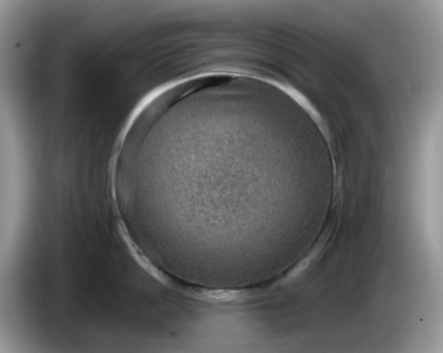 X0000086230862200704121914