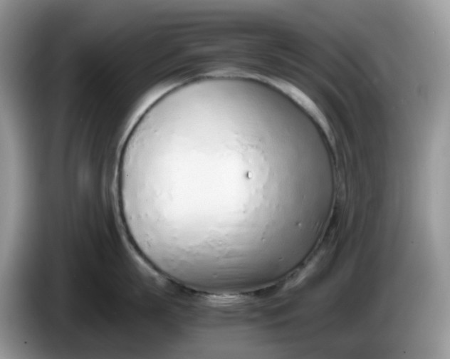 X0000086230863200704121914