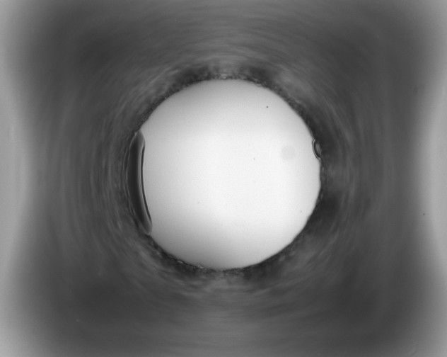 X0000086230865200704121913