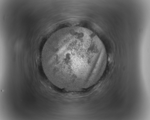 X0000086230867200704121913