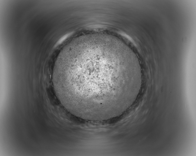 X0000086230871200704121913