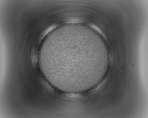 X0000086230874200704121913