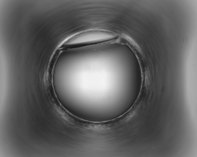 X0000086230876200704121913