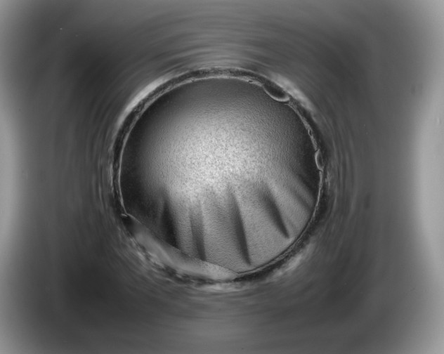 X0000086230877200704121913