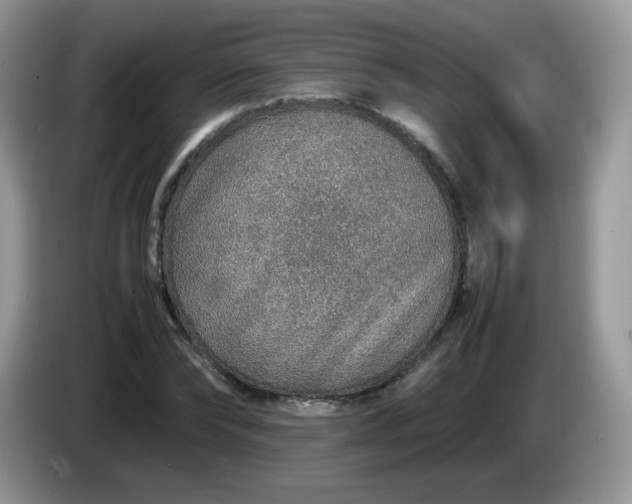 X0000086230878200704121913