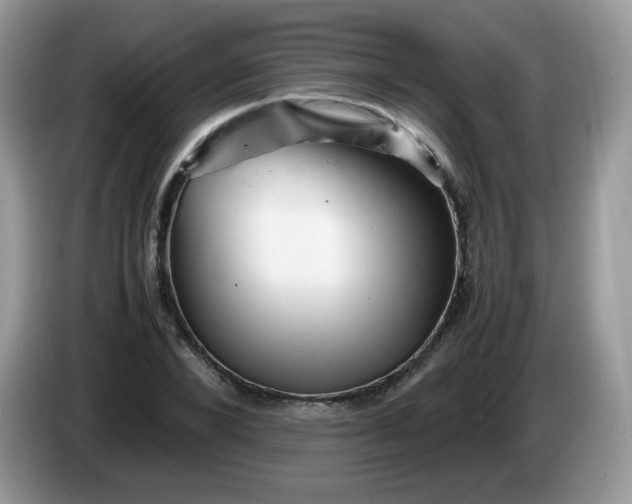 X0000086230880200704121913