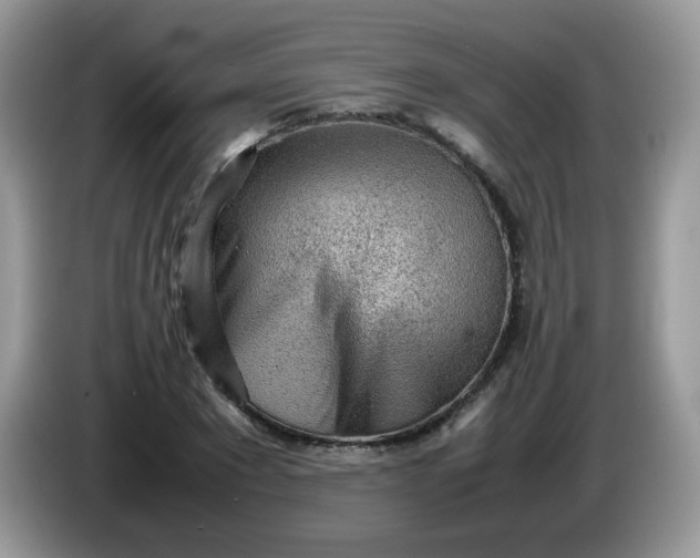 X0000086230881200704121913