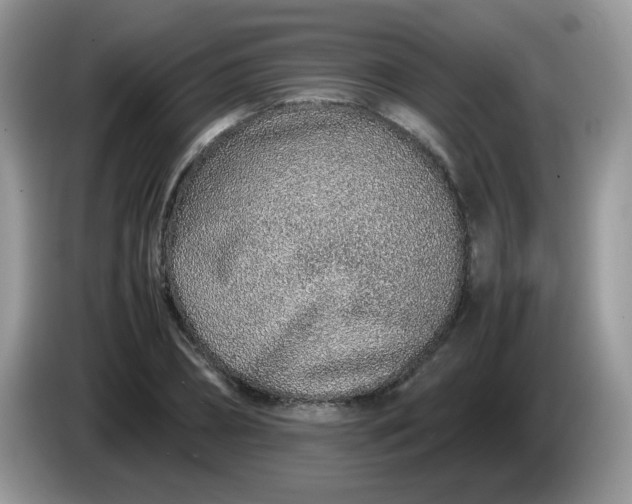 X0000086230882200704121913