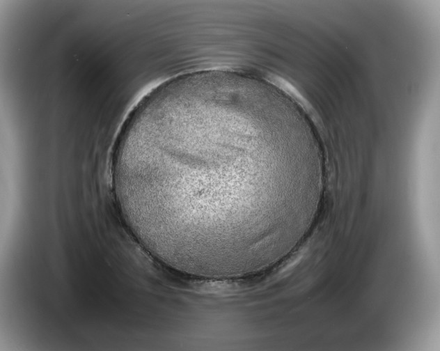 X0000086230883200704121913