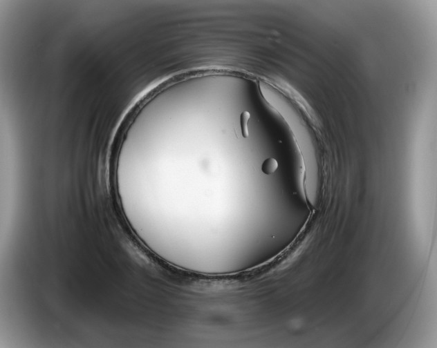 X0000086230884200704121913