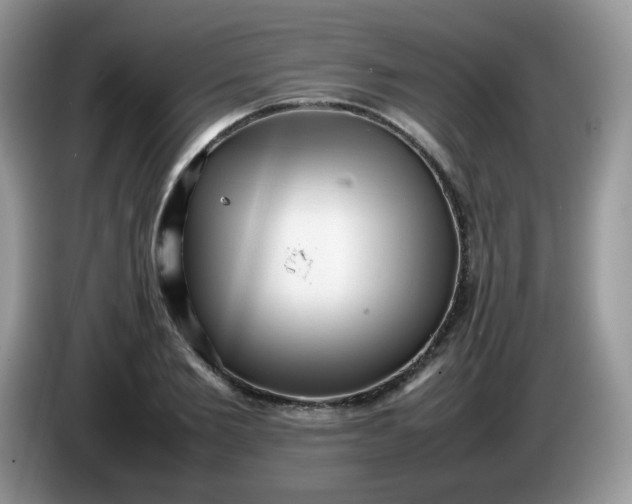 X0000086230885200704121913