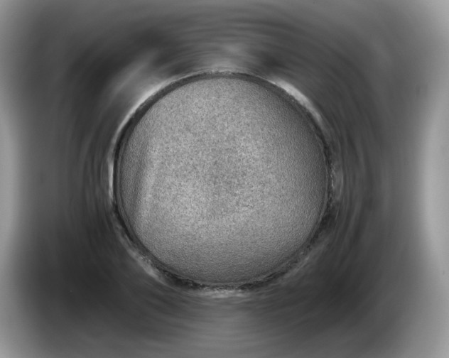 X0000086230886200704121913