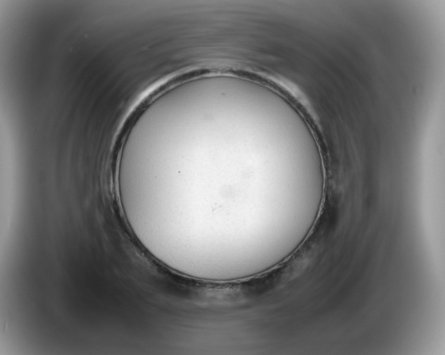 X0000086230887200704121913