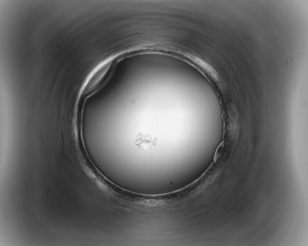 X0000086230888200704121913