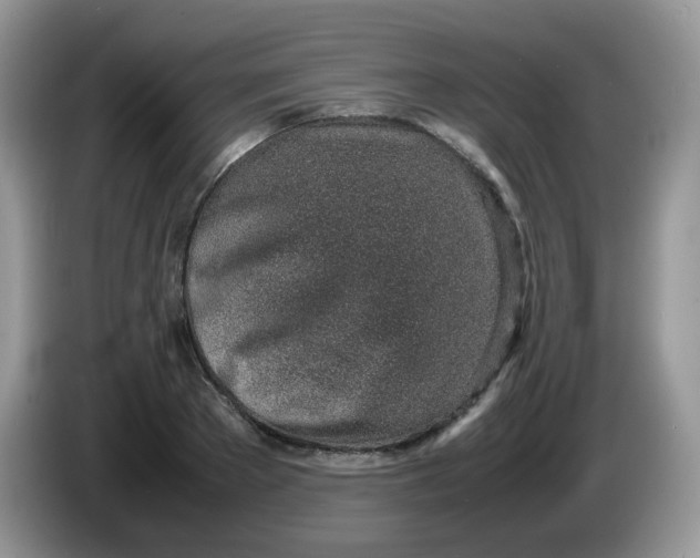 X0000086230889200704121913