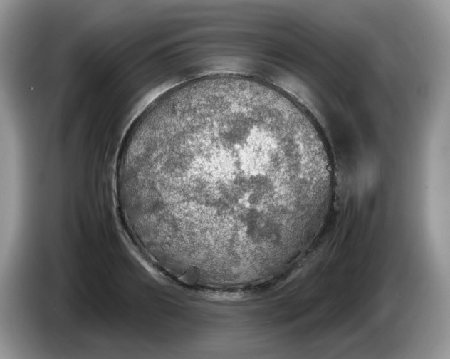 X0000086230890200704121913