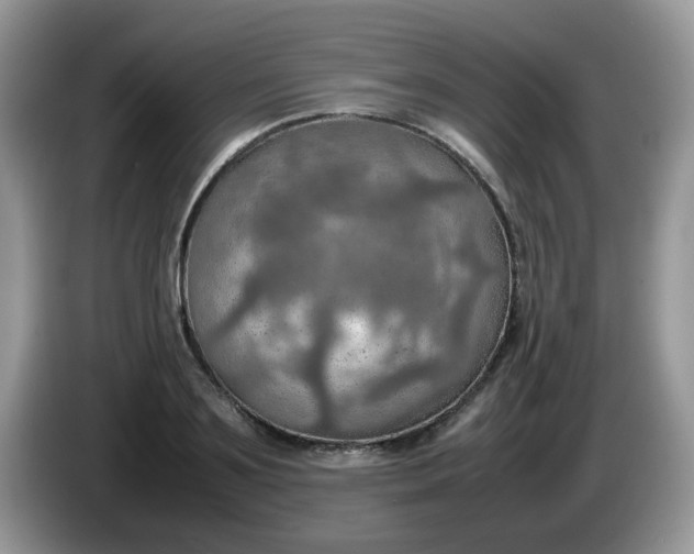 X0000086230891200704121913