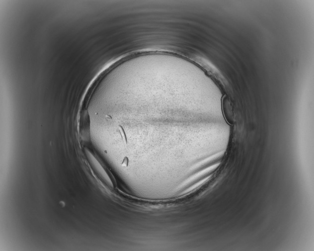 X0000086230892200704121913