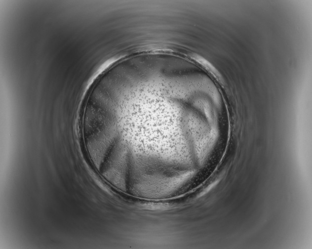 X0000086230893200704121913